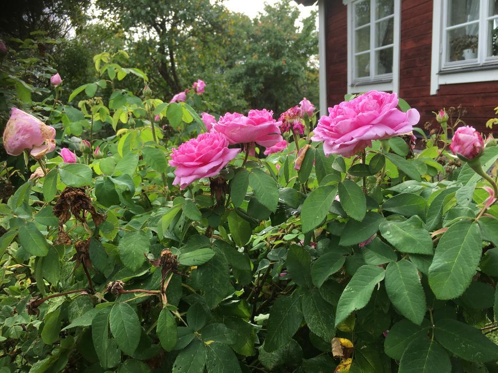 Thorstorps Gard B&B Söderköping Екстериор снимка